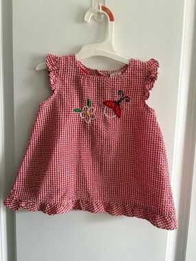 Red Gingham Ruffle Dress with Ladybug Embroidery